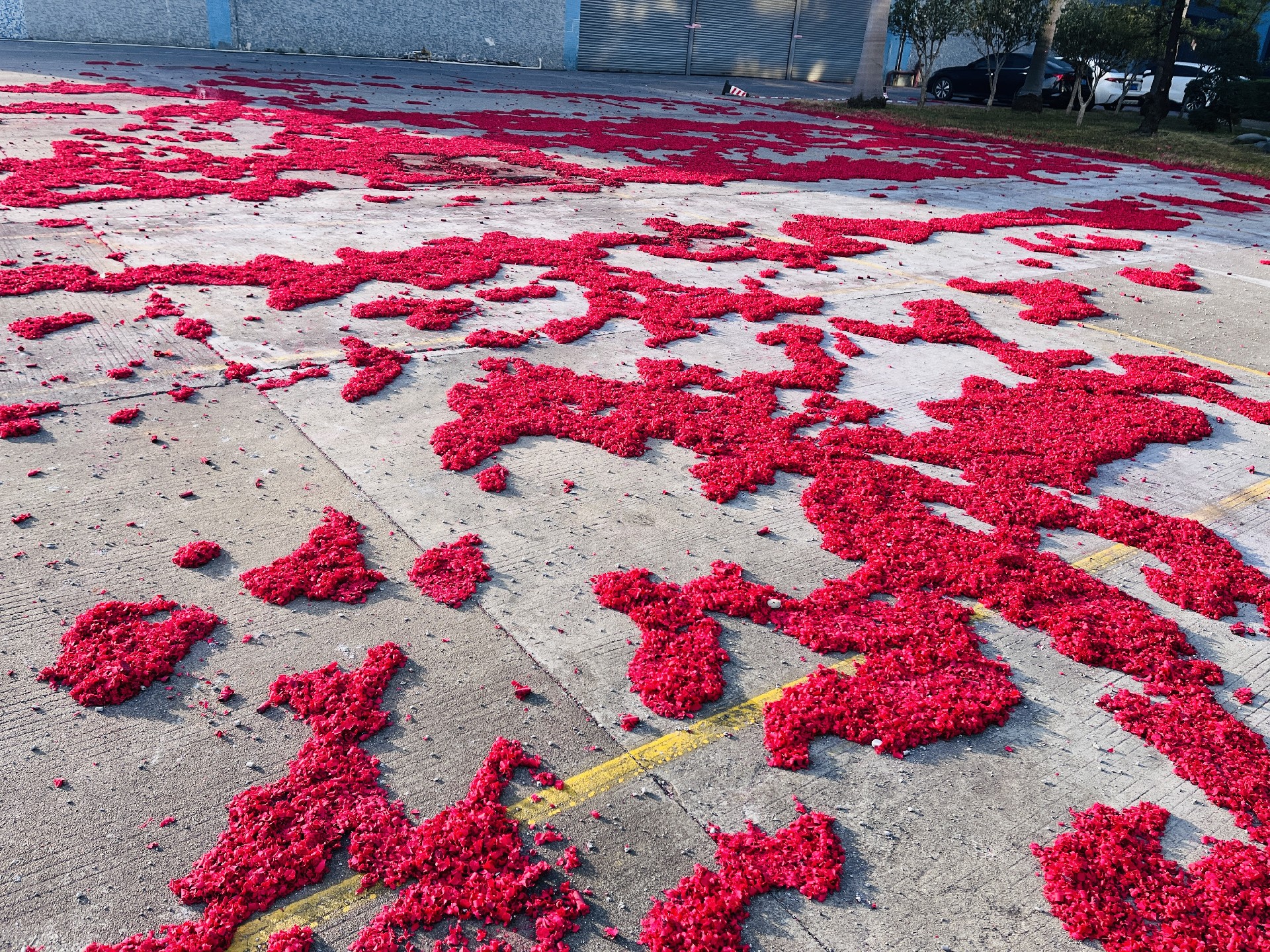 1686017254532883.jpg 滿(mǎn)地紅.jpg