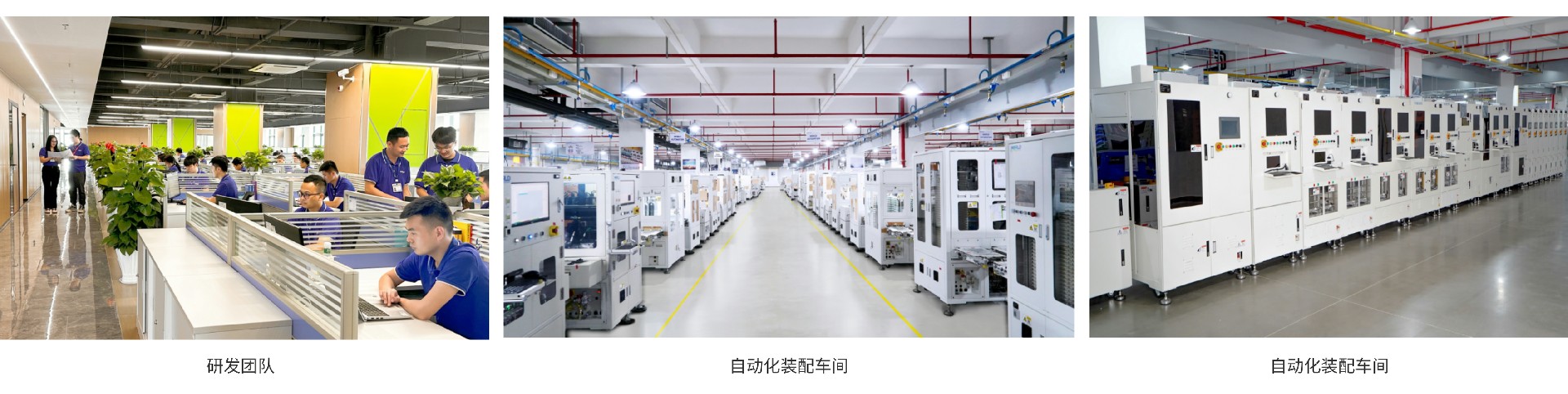 1724222734149443.jpg 11.jpg